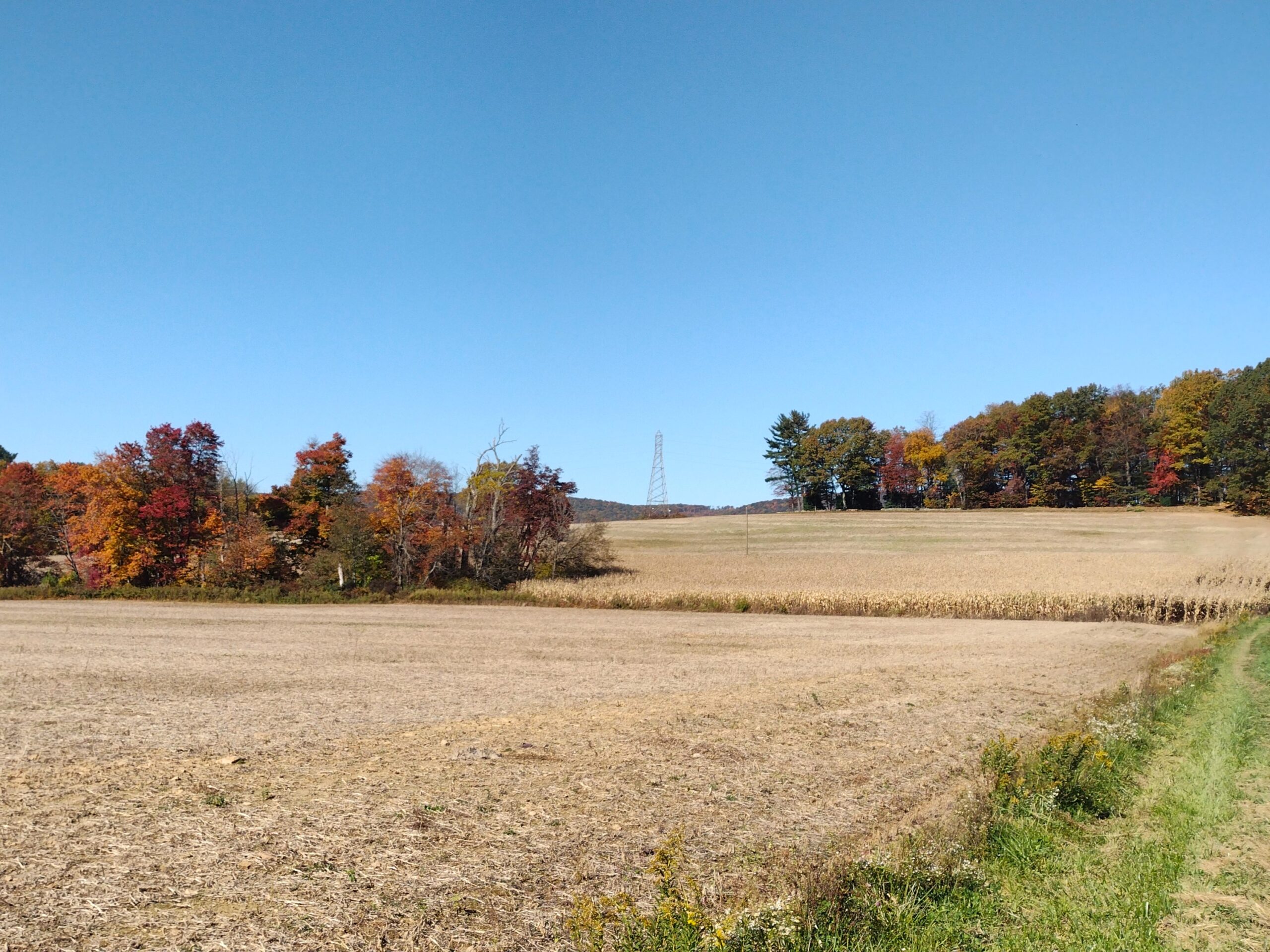 Berks Nature Passes Major Milestone of Protecting 10,000+ Acres of Open Space