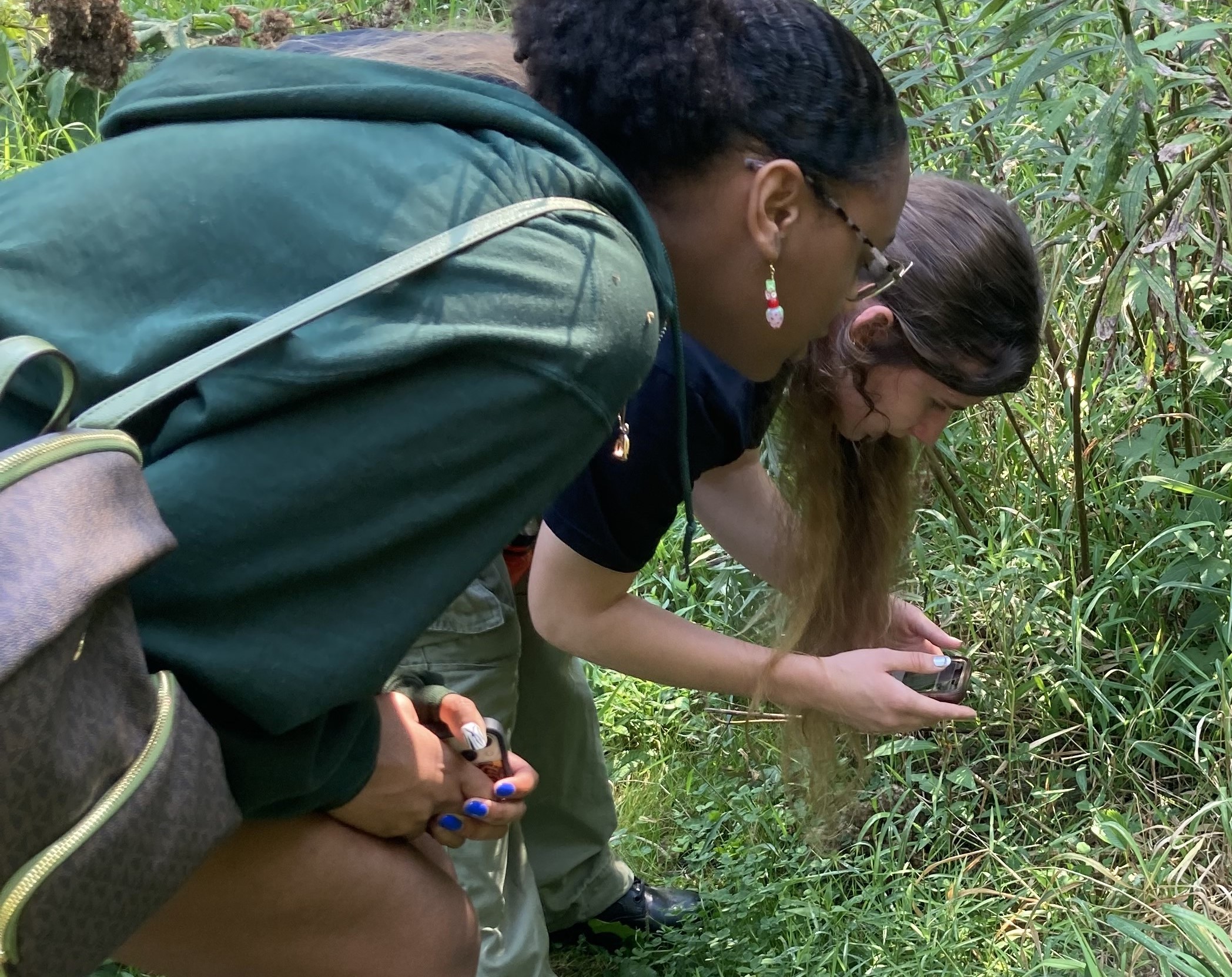 Bioblitzing Angelica Creek Park