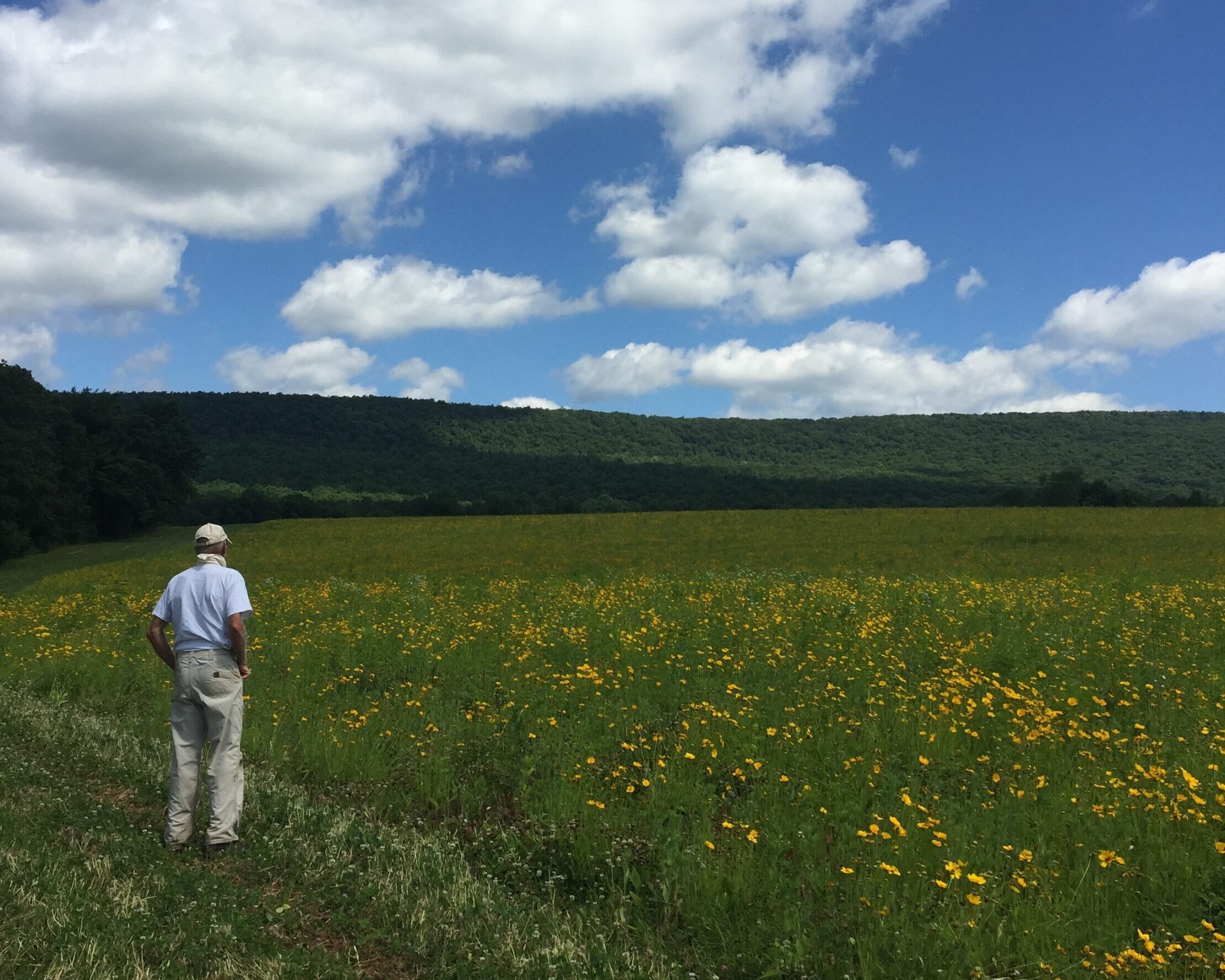 The Future Belongs to Nature